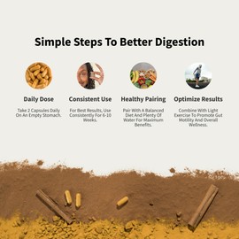 Snap Supplements Snap Supplements Gut Health for Women and Men, Prebiotics and Probiotics Supplement for Digestive Health and Immune Support, Probiotic Prebiotic with Aloe and Turmeric for Healthy Gut, 60 Capsules