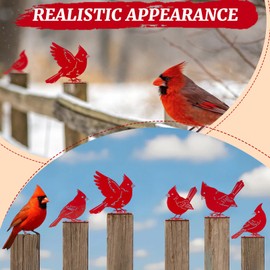 Leinuosen 5 Pcs Cardinal Birds Silhouettes Decoration, Garden Spring Decor Outdoor, Metal Bird Craft Statue Set, Metal Yard Art Ornaments for Garden Patio, Cardinal Silhouette, Housewarming Gift