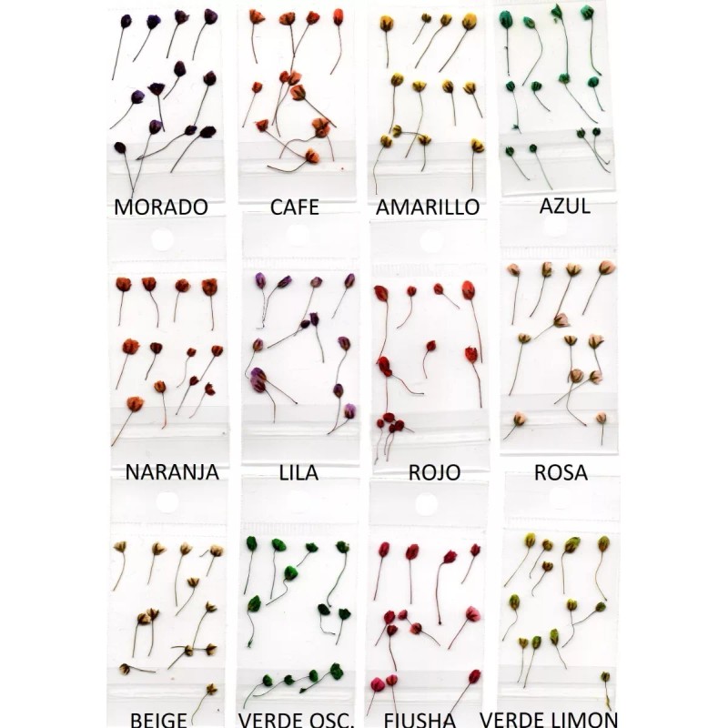 MKN 100 Paquetitos De Naturaleza Muerta Para Decoración De Uñas