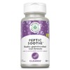Natural Balance Peptic Soothe | Gastrointestinal Formula for Healthy Digestion