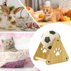 Cat Scratcher,Interactive Cat Toys with Wooden Base - Spherical Nail