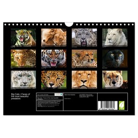 Big Cats • Faces of the most beautiful predators (Wall Calendar 2026 DIN A4 Landscape), CALVENDO 12 Month Wall Calendar