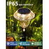 SOLPEX Solar Pathway Lights Garden Decor for Yard, Garden Lights