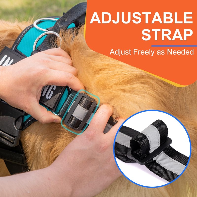 Essential Dog Harness, No Pull Pet Harness with 3 Side