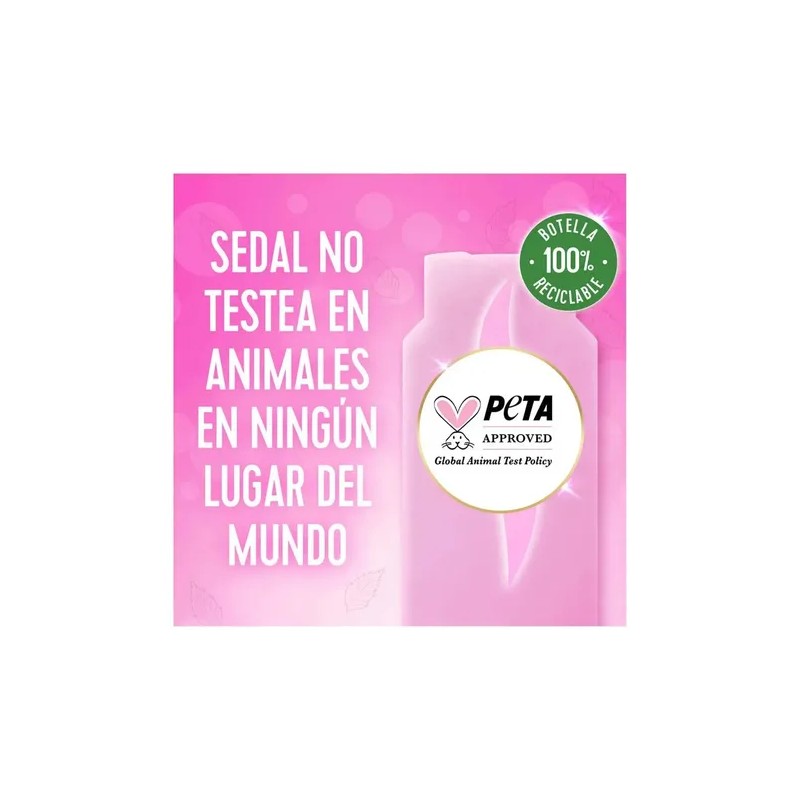 Shampoo Sedal Hidratación Anti Nudos 620 Ml