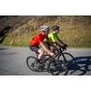 TIFOSI Intense Interchangeable Lens Sunglasses: Interchangeable Lenses, Lightweight, UV Protection,