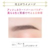 BLEND BERRY 001 Nuance On 3D Eyebrow (Gray & Nuance