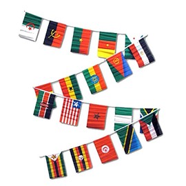 30ft String Flag Set of 20 African Country 12x18 Bunting Flag Banner Flags