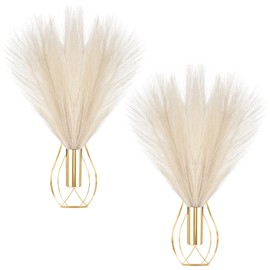 Otoolling 2 Pieces Hanging Plant Wall Decor with Artificial Pampas Grass Metal Hanging Vase Modern Geometric Farmhouse Bohemian Wall Art for Living Room Bedroom Kitchen Bathroom Office(Gold, Beige)