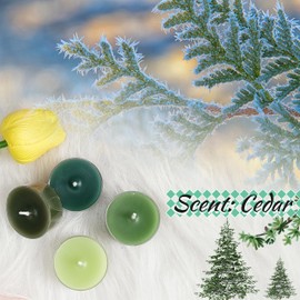 Cedar Scented Tealight Candles Clear Cup Gradient Green Tea Lights Candles 24 Pack Colored Fragrance Candle 6 Hour Burn Time Small Tea Candles for Dinner Home Holiday Wedding Party