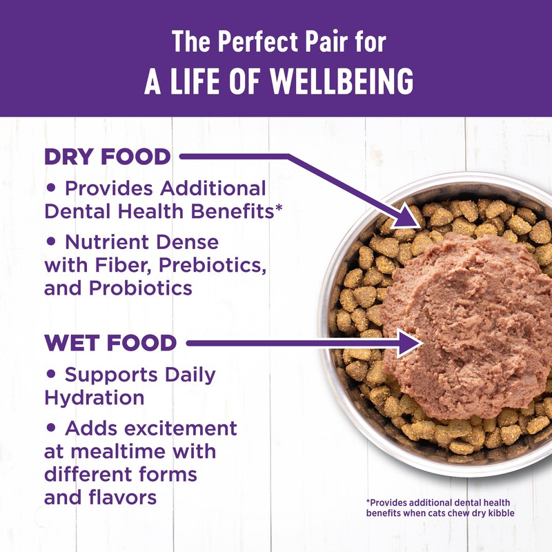 Wellness Complete Health Pate Adult Wet Cat Food, Natural, Protein-Rich,