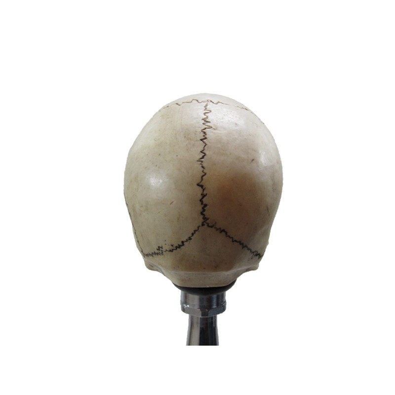 Kool Collectibles No Jaw Skull Head Shifter Shift Knob Rat