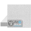 Art3d Pro Drop Ceiling Tiles 2ft x 2ft, 12-Pack Waterproof