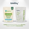 Wellthy Vegan Protein Powder - 25g Plant Based Protein, Gluten-Free