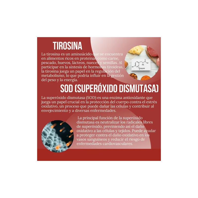 Quemador De Grasa Abdominal 120 Cáps. Citrato De Magnesio