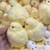 1pcs Handmade Taba Squishy Chick Ultra Soft Squishy Fidget Toys