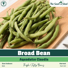 Broad Bean Aquadulce Claudia Seeds – Early, Heavy-Cropping Variety – Sweet, Tender Beans – Perfect for Autumn or Spring Sowing – Easy to Grow – Ideal for UK Gardens
