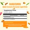 NANOCUMIN Alpha Turmeric Curcumin Liquid Stick 30ea - 140mg Curcuminoids