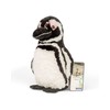 Fahlo Penguin Tracking Plush | Includes 12" Plush, Interactive 3D