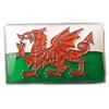 Metal Enamel Pin Badge Wales Dragon Welsh Flag Saint David