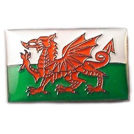 Metal Enamel Pin Badge Wales Dragon Welsh Flag Saint David Baner Cymru