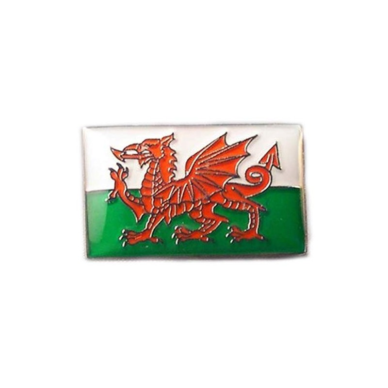 Metal Enamel Pin Badge Wales Dragon Welsh Flag Saint David