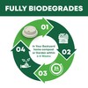DISPOSABLE GREEN - NEXTGEN Coffee Cups Lid, Double Wall Disposable