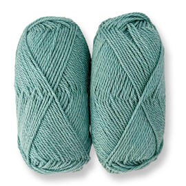 Revolution Fibers - Juego de 2 madejas de hilo DK de peso | 80% lana merino, 20% mezcla de hilo de seda | Peso DK #3, 3.4 oz/100 gramos, 240 yardas en total | Punto y tejido (verde Seabreeze)