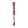DMC 6-Strand Embroidery Cotton Floss, Variegated Mauve