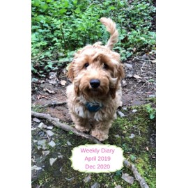 Weekly Diary April 2019-Dec 2020: 6x9 week to a page planner with notes & to do list each week. Extra notes pages included. Perfect for self-employed, ... Cockerpoo with diamond design back cover