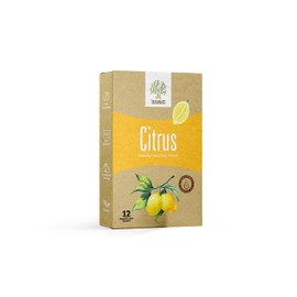 Terramandi Foaming Hand Soap Tablets 12 count Refill - Makes 96 fl oz of foaming hand soap (12x 8 fl oz bottles of soap) (Citrus)