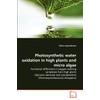 Photosynthetic water oxidation in high plants and micro algae