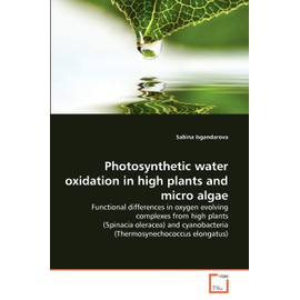 Photosynthetic water oxidation in high plants and micro algae