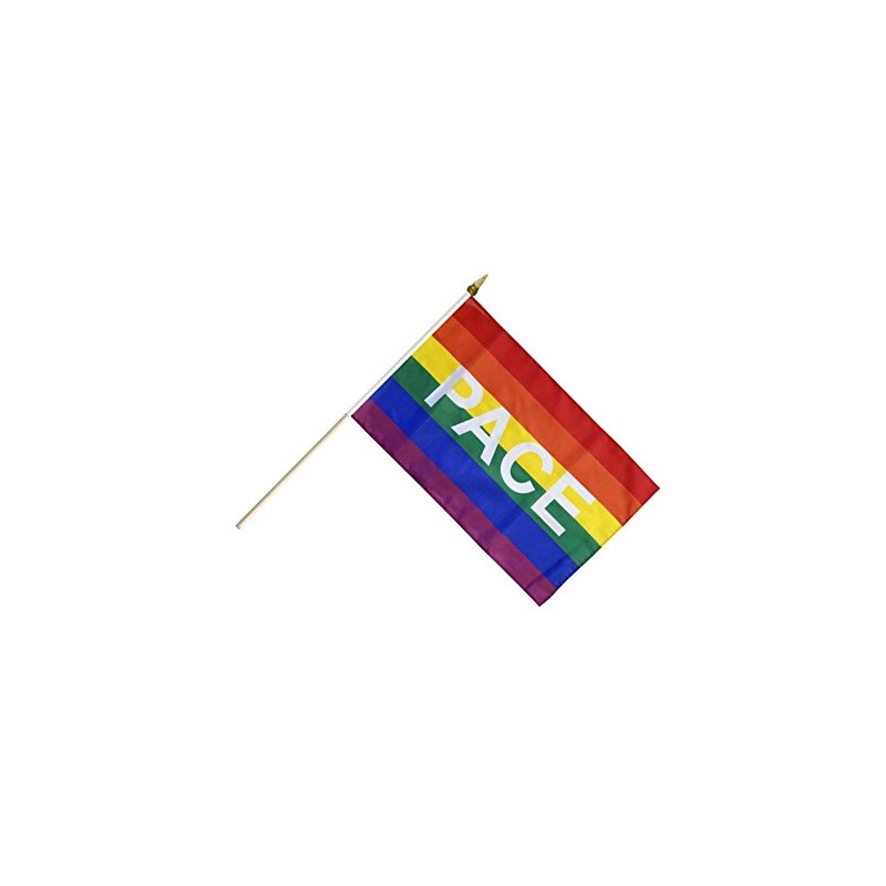 Flaggenfritze® Stick Flag Rainbow with Pace 30 x 45 cm