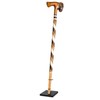 Yaocom Cane Stand Walking Stick Staff Rack Rod Holder Display