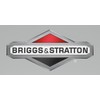 Briggs & Stratton 595406 Motor Genuine Original Equipment Manufacturer (OEM)