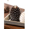 Pavilion Gift Company Brown 5 Inch Pinecone LED-Lit Battery Operated
