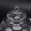 680ml Glass Teapot with Filter Heat Resistance Transparent Tea Kettle