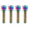 Titanium M6 x 25mm Allen Hex Bolts with Washers Screw