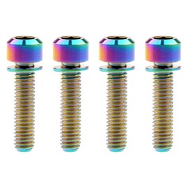 Titanium M6 x 25mm Allen Hex Bolts with Washers Screw for Bicycle V brake Hub Fixed (Rainbow)