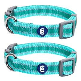 Blueberry Pet Essentials Pack of 2 Reflective Back to Basics Adjustable Dog Collars, Minty Green, Large, Neck 18"-26"