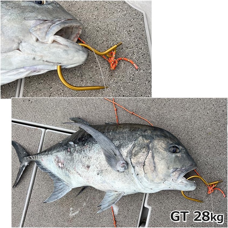 Titanium Large Fish Flying Gaffs for Shore Offshore Tuna, Marlin,