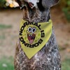 Spongebob Squarepants Pet Bandana Spongebob Squarepants Normal is Boring Pose