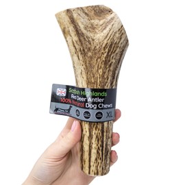 Deer Antler Chew Extra Large 240-300g, Antlers for Dogs, Naturally Shed, Long Lasting, Dog Treat, Dog Chew Toys, Scottish Deer Antler Chews, Sustainable and Healthy