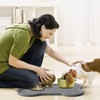 Cat Feeding Mat, Silicone Waterproof Cat Food Mat for Feeder