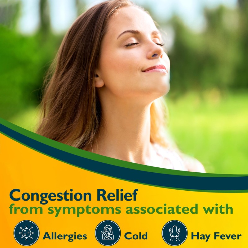 Benzedrex Nasal Decongestant Inhaler, 1 Count (Pack of 1)