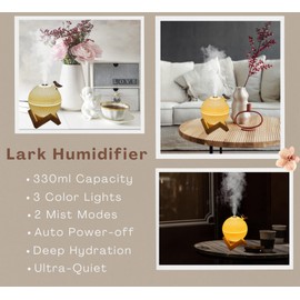 Cool Mist Mini Humidifier. Cute Portable Small Air Humidifier with USB for Bedroom Desk Plants & Baby Nursery. Moon Lamp USB Ultrasonic Humidifier Decor. Silent & Auto Shut-Off 330ml (Lark Humidifier)