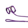 Nobby Dots Collar/Leash Set, Purple