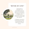 Black Tea Organic | "River of Life" | Assam Finest