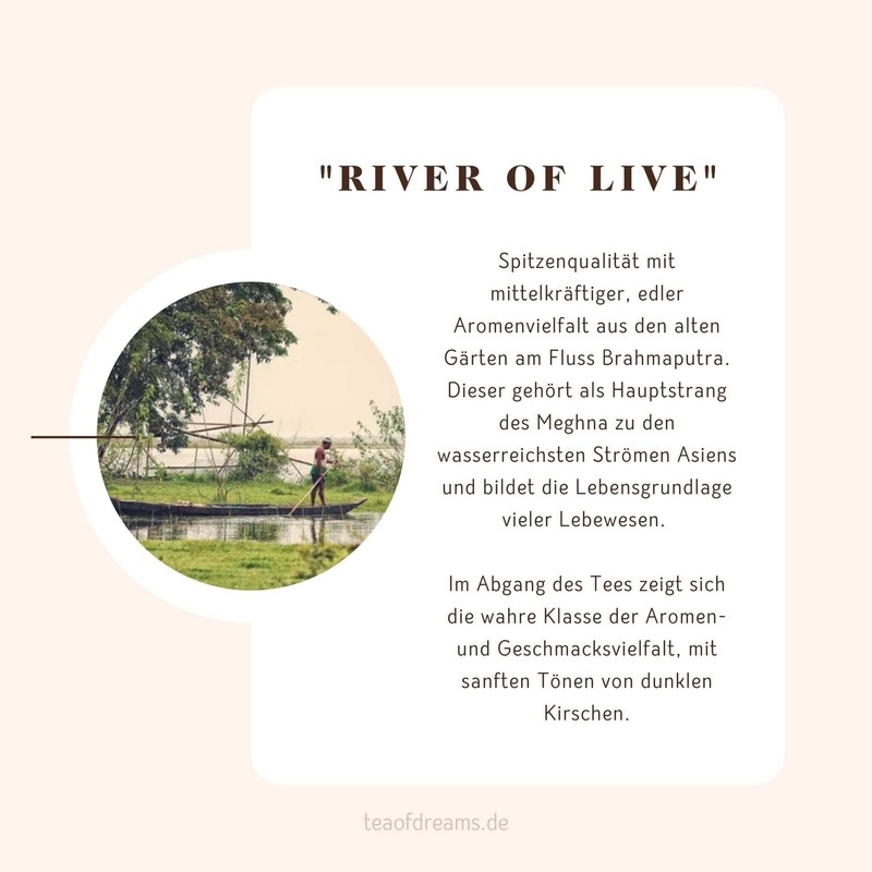 Black Tea Organic | "River of Life" | Assam Finest
